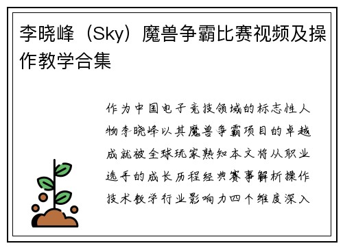 李晓峰（Sky）魔兽争霸比赛视频及操作教学合集